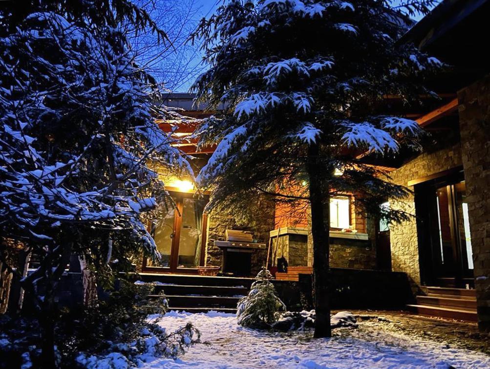 Bazalt Wellness Villa Harghita-Băi Exterior foto